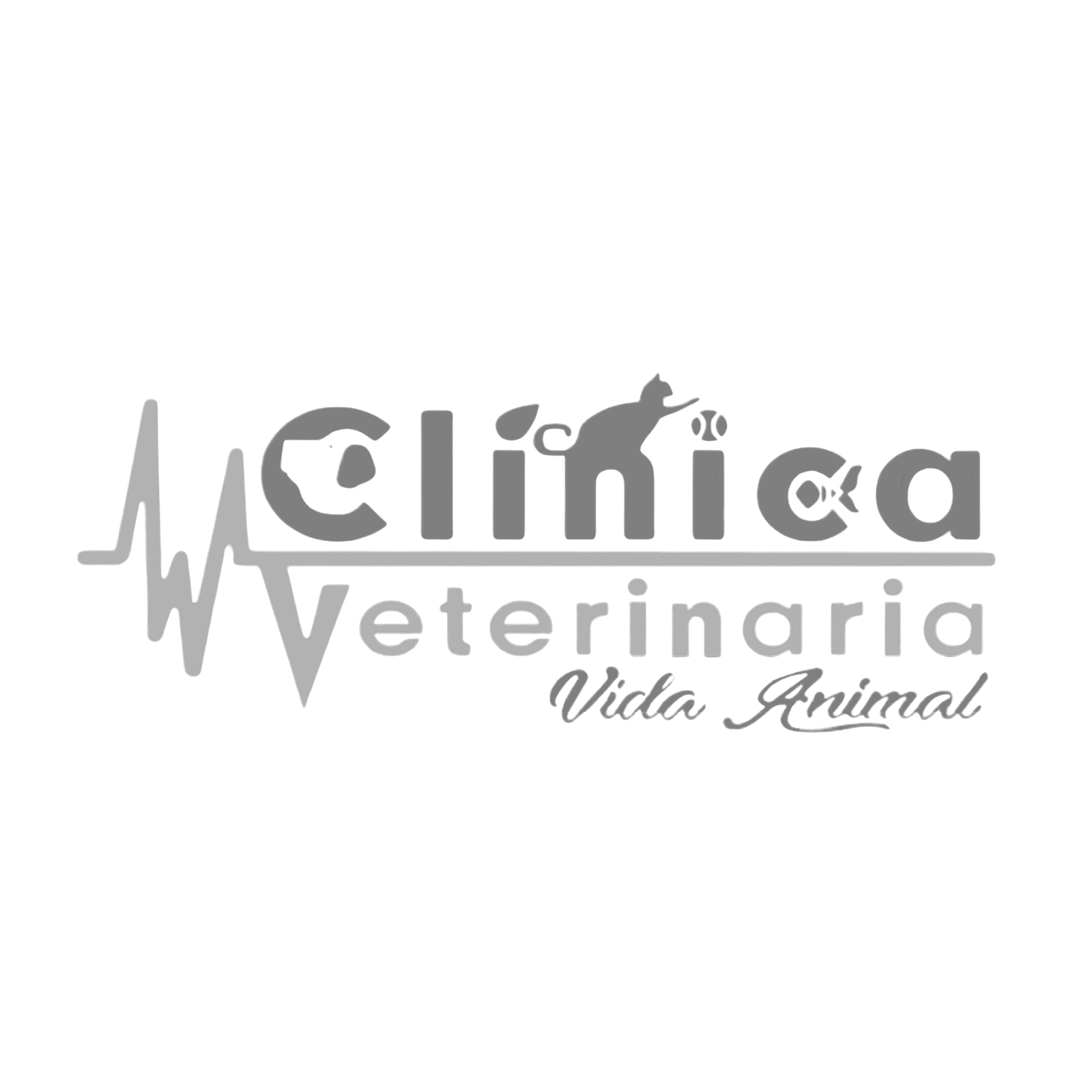 Vida Animal
